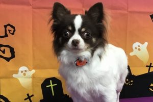 10月のお友達☆
