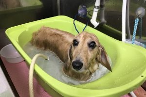 10月のお友達☆