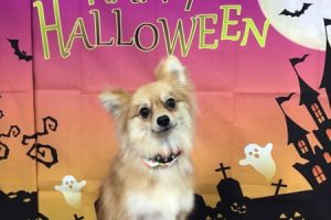 10月のお友達☆