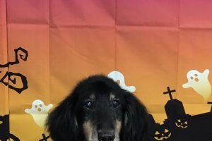 10月のお友達☆