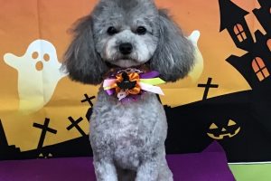 10月のお友達☆