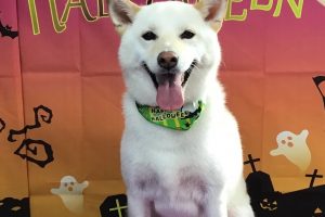 10月のお友達☆