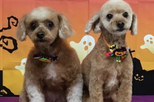 10月のお友達☆
