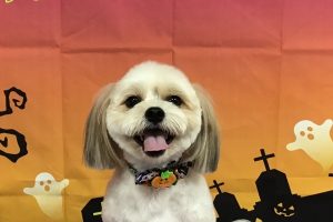 10月のお友達☆
