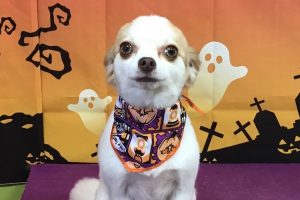 10月のお友達☆