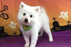 10月のお友達☆