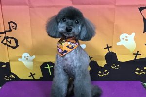 10月のお友達☆