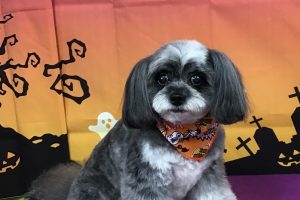 10月のお友達☆