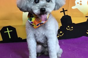 10月のお友達☆
