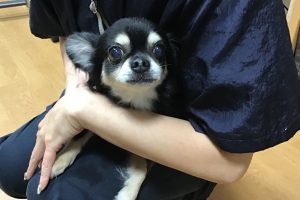 お泊り☆