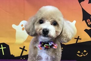 10月のお友達☆