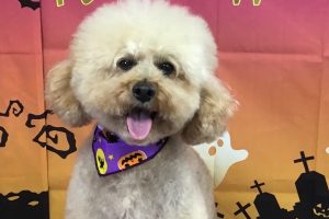 10月のお友達☆