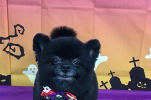 10月のお友達☆