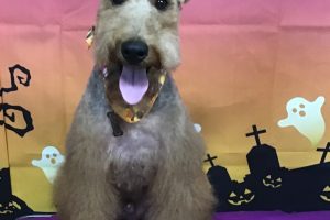 10月のお友達☆