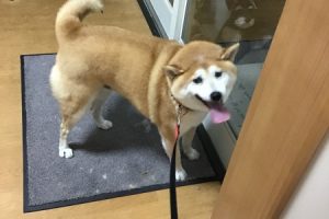 10月のお友達☆