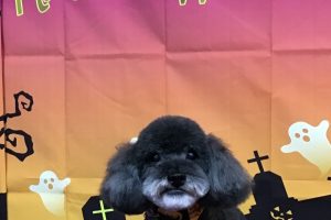 10月のお友達☆