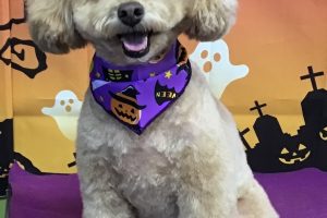 10月のお友達☆
