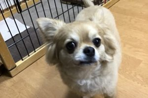 お泊り中☆