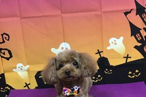１０月のお友達☆