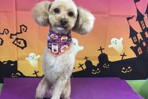 10 月のお友達☆