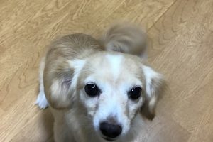 お泊り中☆
