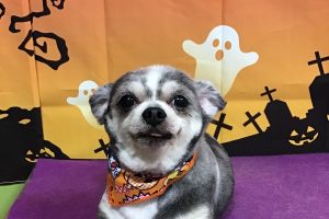10月のお友達☆