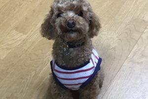 お泊り☆
