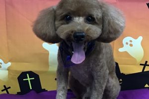 10月のお友達☆