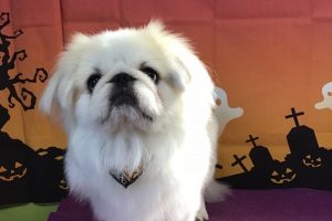 10月のお友達☆