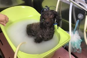 10月のお友達☆