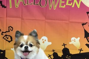 10月のお友達☆