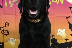 10月のお友達☆