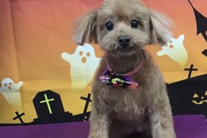 10月のお友達☆