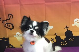 10月のお友達☆