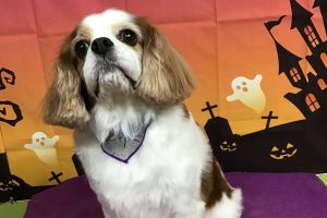 10月のお友達☆