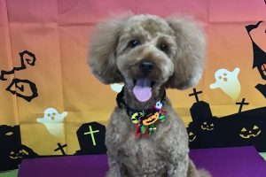 10月のお友達☆
