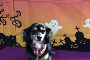 10月のお友達☆