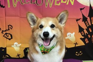 10月のお友達☆