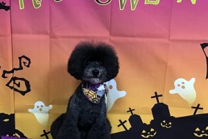 10月のお友達☆