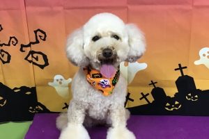 10月のお友達☆