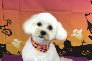 10月のお友達☆