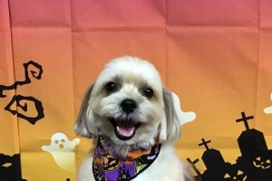 10月のお友達☆