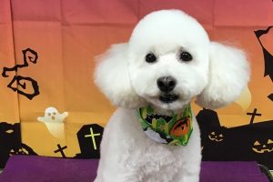10月のお友達☆