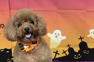 10月のお友達☆