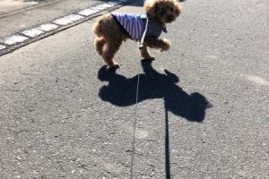 お泊り中☆