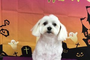 10月のお友達☆