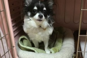 お泊り中☆