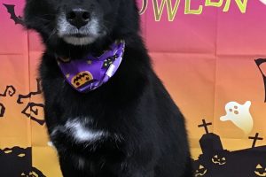 10月のお友達☆