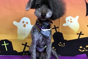 10月のお友達☆