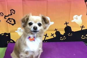 10月のお友達☆